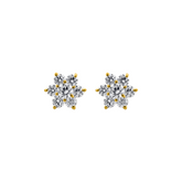 22K Gold  Blooming Brilliance Earrings