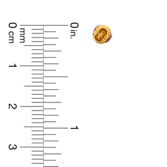 22K Gold Regal Paisley Stud Earrings