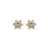 22K Gold Flower Earrings