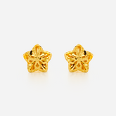 22K Gold Star Stud Earrings