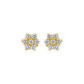 22K Gold Dazzling Floral Earrings