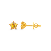 22K Gold Starlight Citrine Stud Earrings