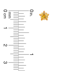 22K Gold Starlight Citrine Stud Earrings