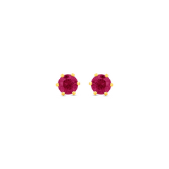 22K Gold Elegant Red Stud Earrings
