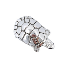 Silver Divine Tortoise for Pooja and Vastu