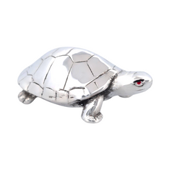 Silver Divine Tortoise for Pooja and Vastu