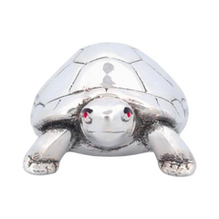 Silver Divine Tortoise for Pooja and Vastu