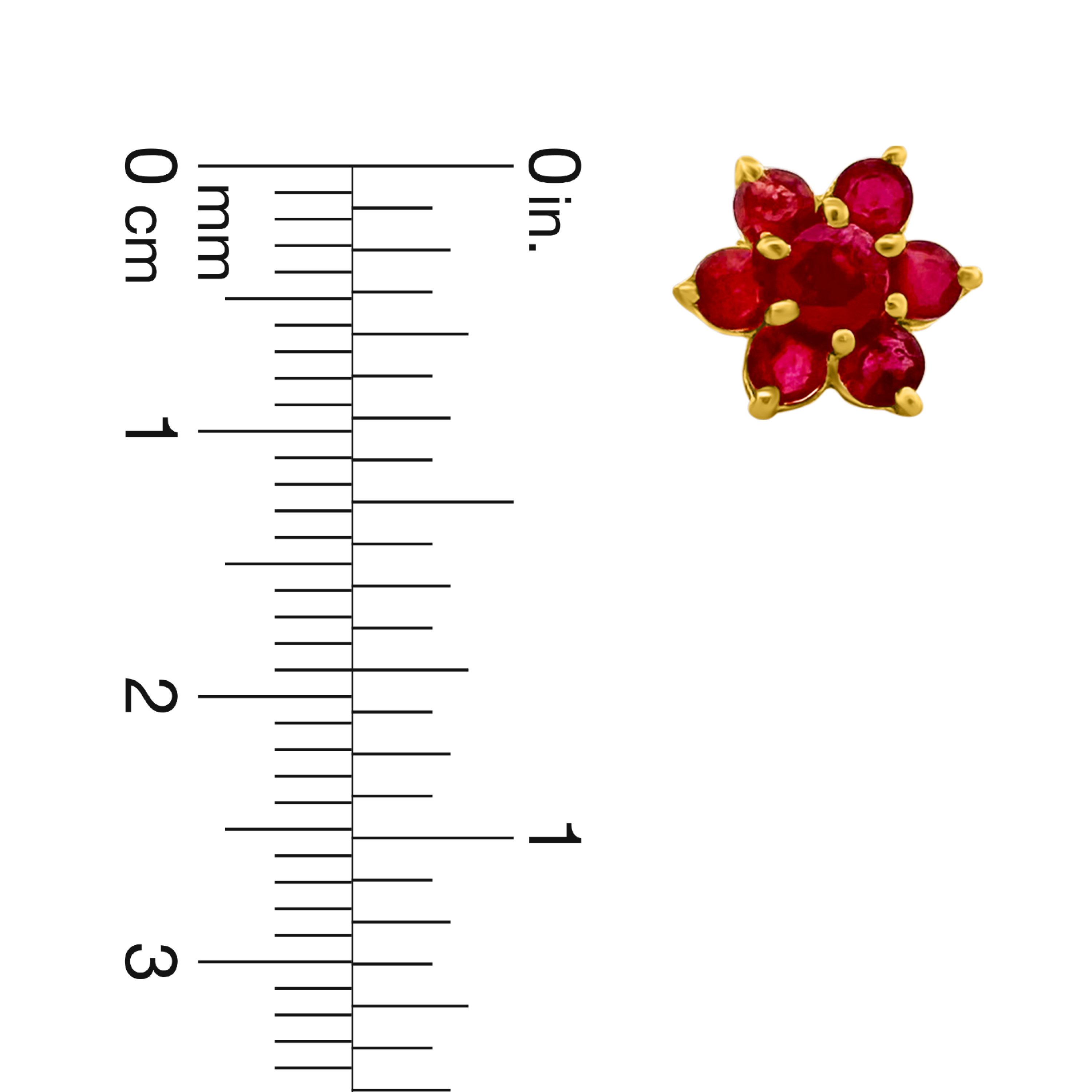 22K Gold Majestic Ruby Earrings