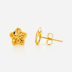 22K Gold Star Stud Earrings