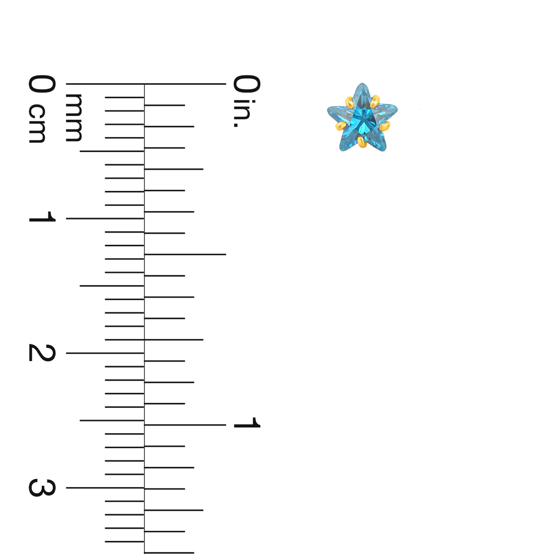 22K Gold Oceanic Starburst Stud Earrings
