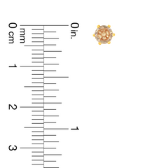 22K Gold Elegant Yellow  Stud Earrings
