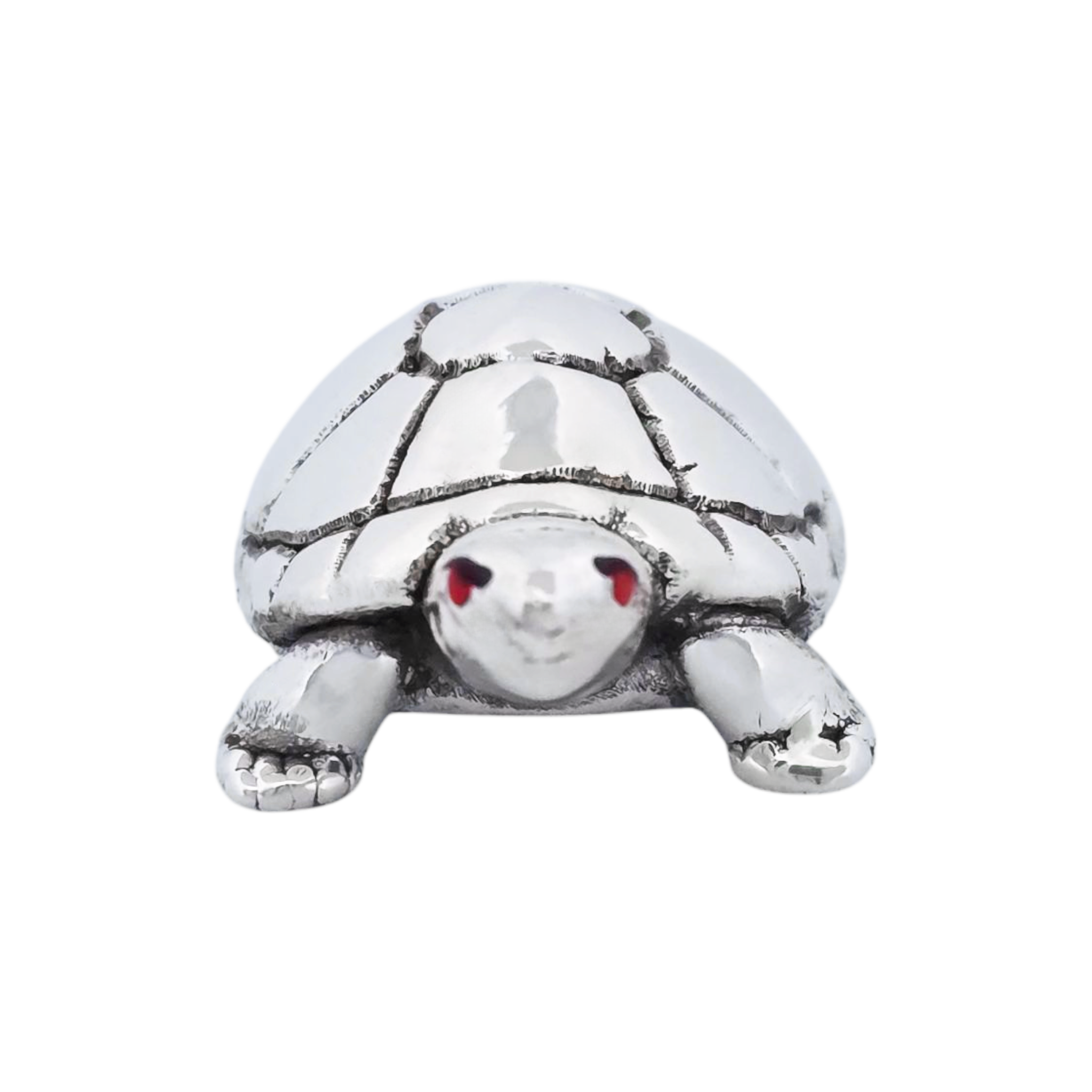Silver Divine Tortoise for Pooja and Vastu